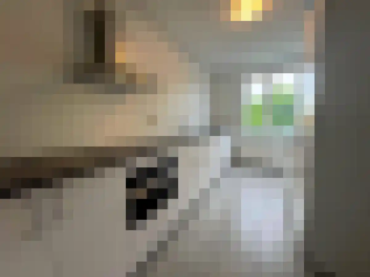 Tudderenderweg Sittard thumbnail 5