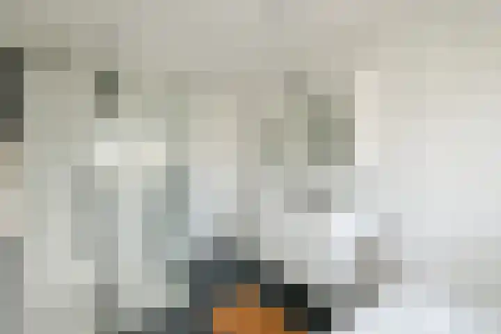 Tugelastraat 35 Haarlem thumbnail 16