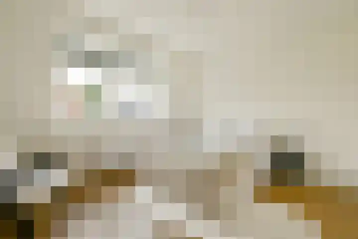 Tugelastraat 35 Haarlem thumbnail 21