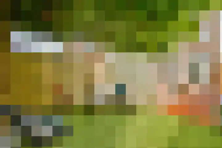 Tugelastraat 35 Haarlem thumbnail 4