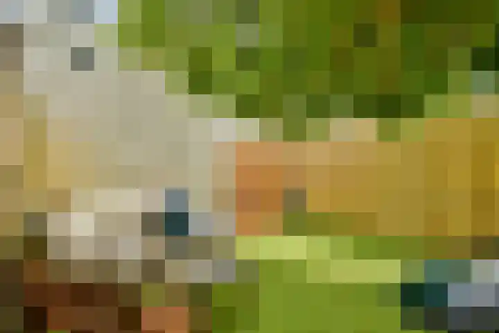 Tugelastraat 35 Haarlem thumbnail 5
