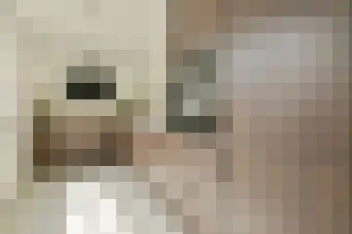 Tugelastraat 35 Haarlem thumbnail 6