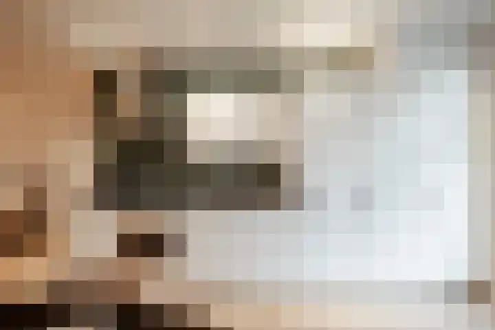 Tugelastraat 48 ZW Haarlem thumbnail 10