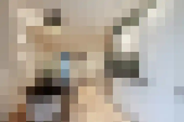 Tugelastraat 48 ZW Haarlem thumbnail 14