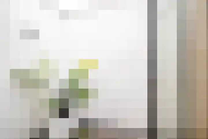 Tugelastraat 48 ZW Haarlem thumbnail 18