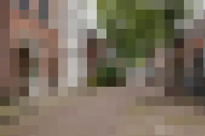 Tugelastraat 48 ZW Haarlem thumbnail 24
