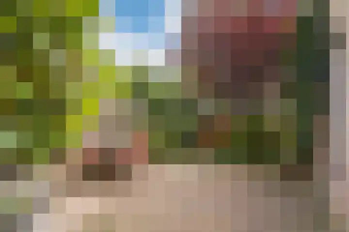 Tugelaweg 126 Amsterdam thumbnail 27