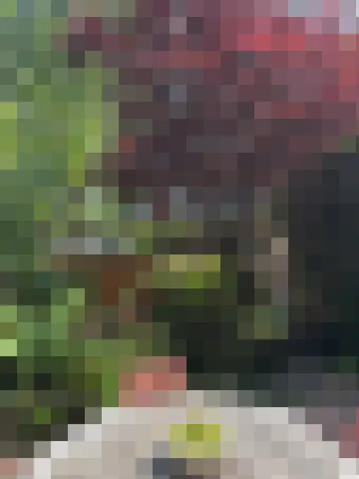 Tugelaweg 126 Amsterdam thumbnail 28