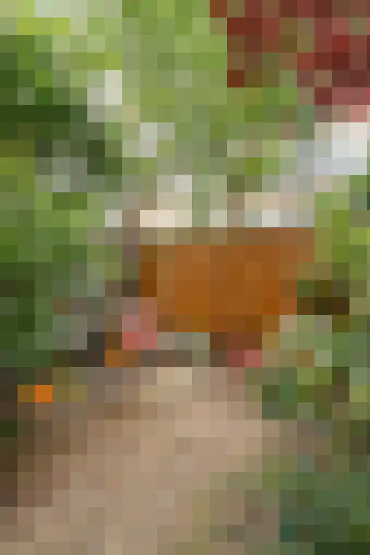 Tugelaweg 126 Amsterdam thumbnail 30