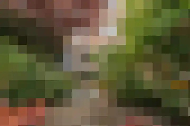 Tugelaweg 126 Amsterdam thumbnail 31