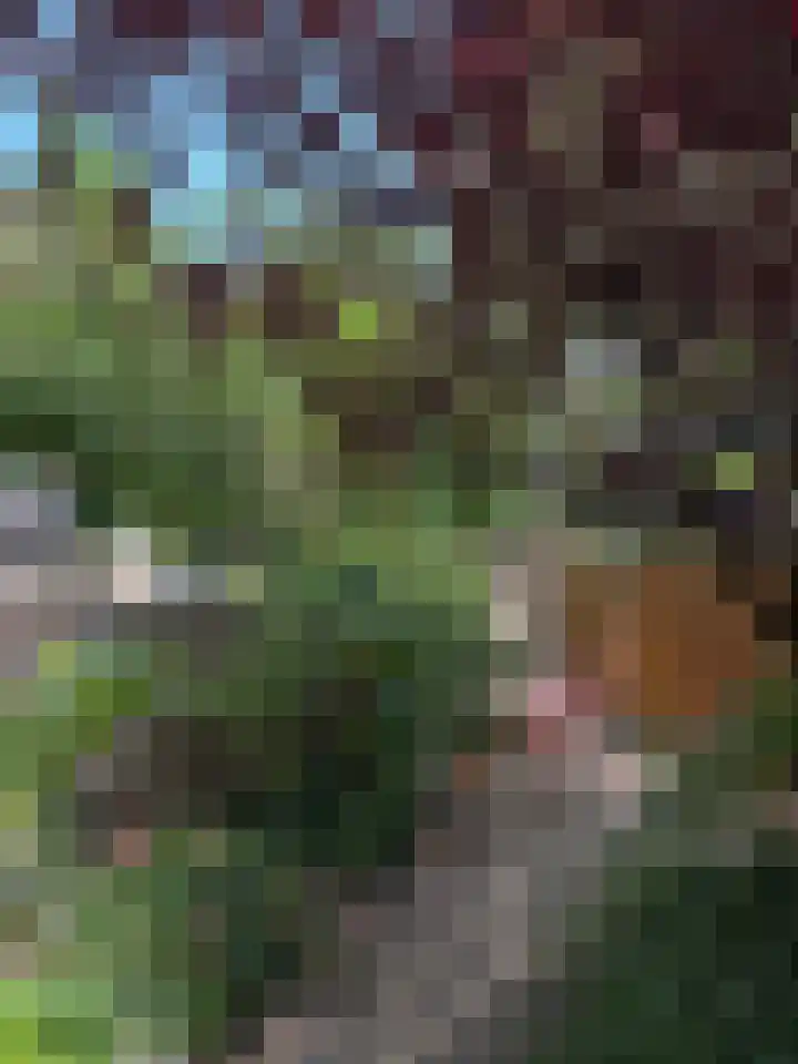 Tugelaweg 126 Amsterdam thumbnail 32