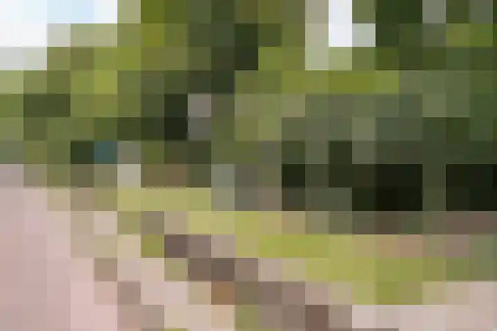 Tugelaweg 126 Amsterdam thumbnail 37