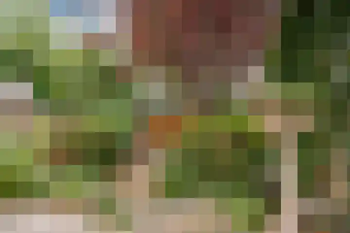 Tugelaweg 126 Amsterdam thumbnail 51