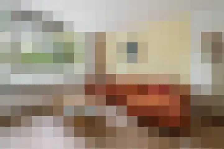 Tugelaweg 126 Amsterdam thumbnail 6