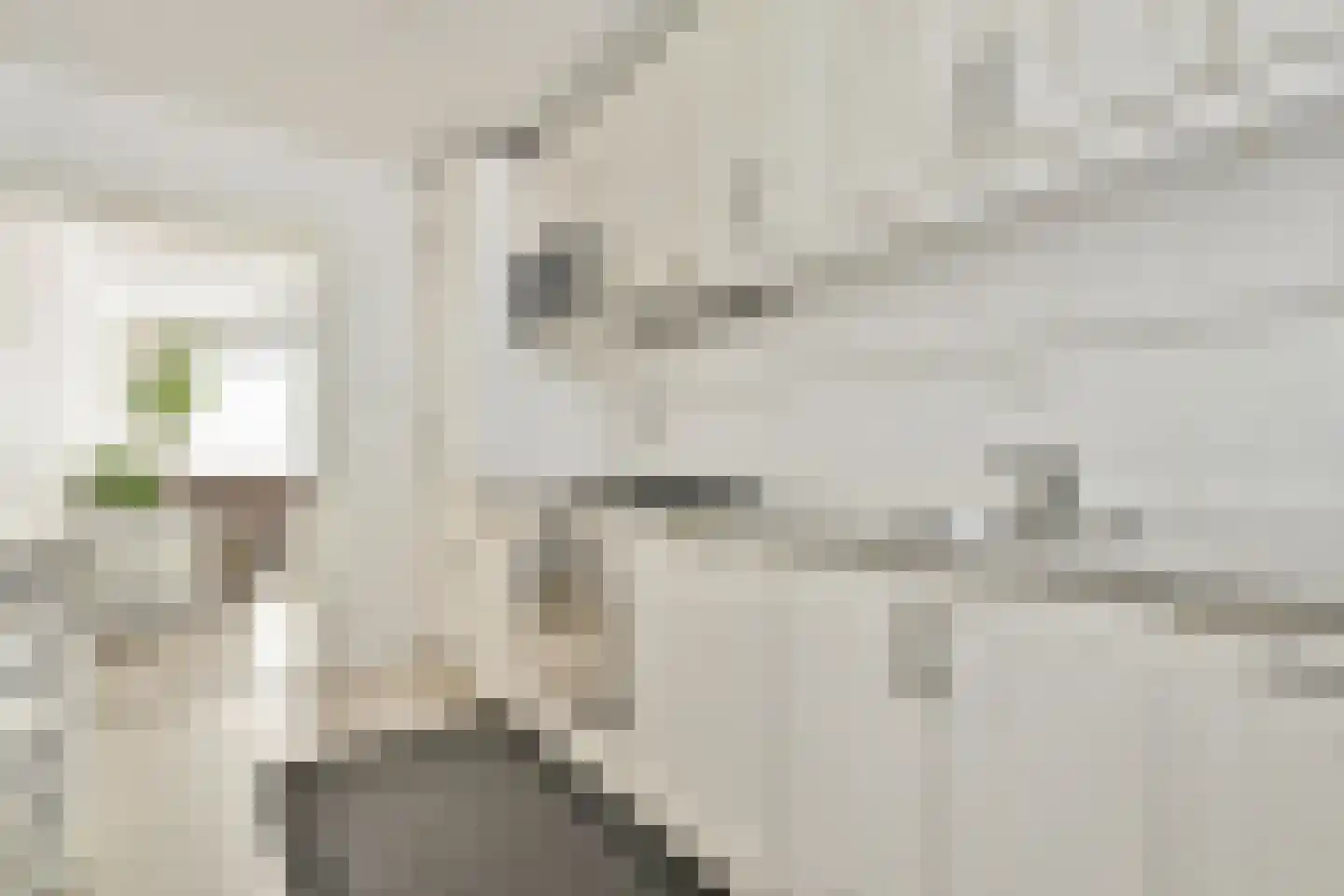 Tugelaweg 13 B Amsterdam thumbnail 25
