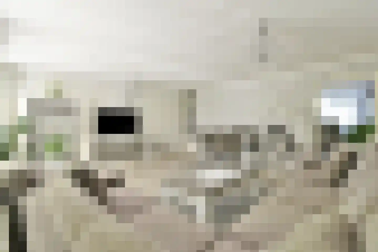 Tugelaweg 13 B Amsterdam thumbnail 8