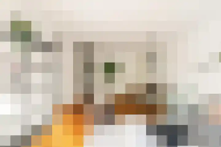 Tugelaweg 137 C Amsterdam thumbnail 21