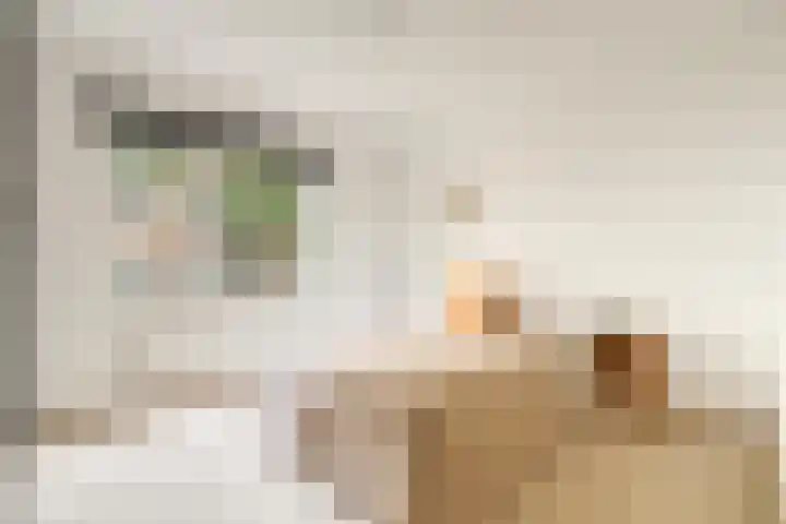 Tugelaweg 137 C Amsterdam thumbnail 22
