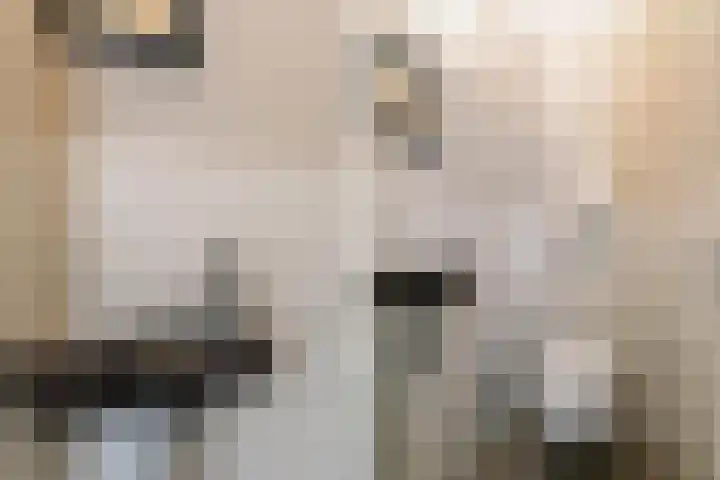 Tugelaweg 137 C Amsterdam thumbnail 26