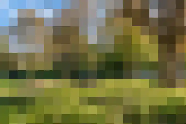 Tugelaweg 137 C Amsterdam thumbnail 31