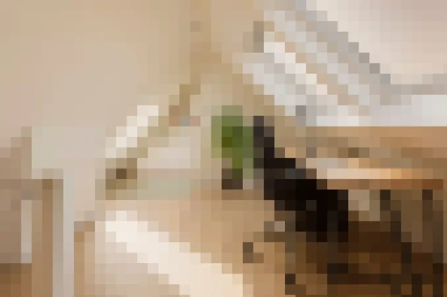 Tugelaweg 19 E Amsterdam thumbnail 13