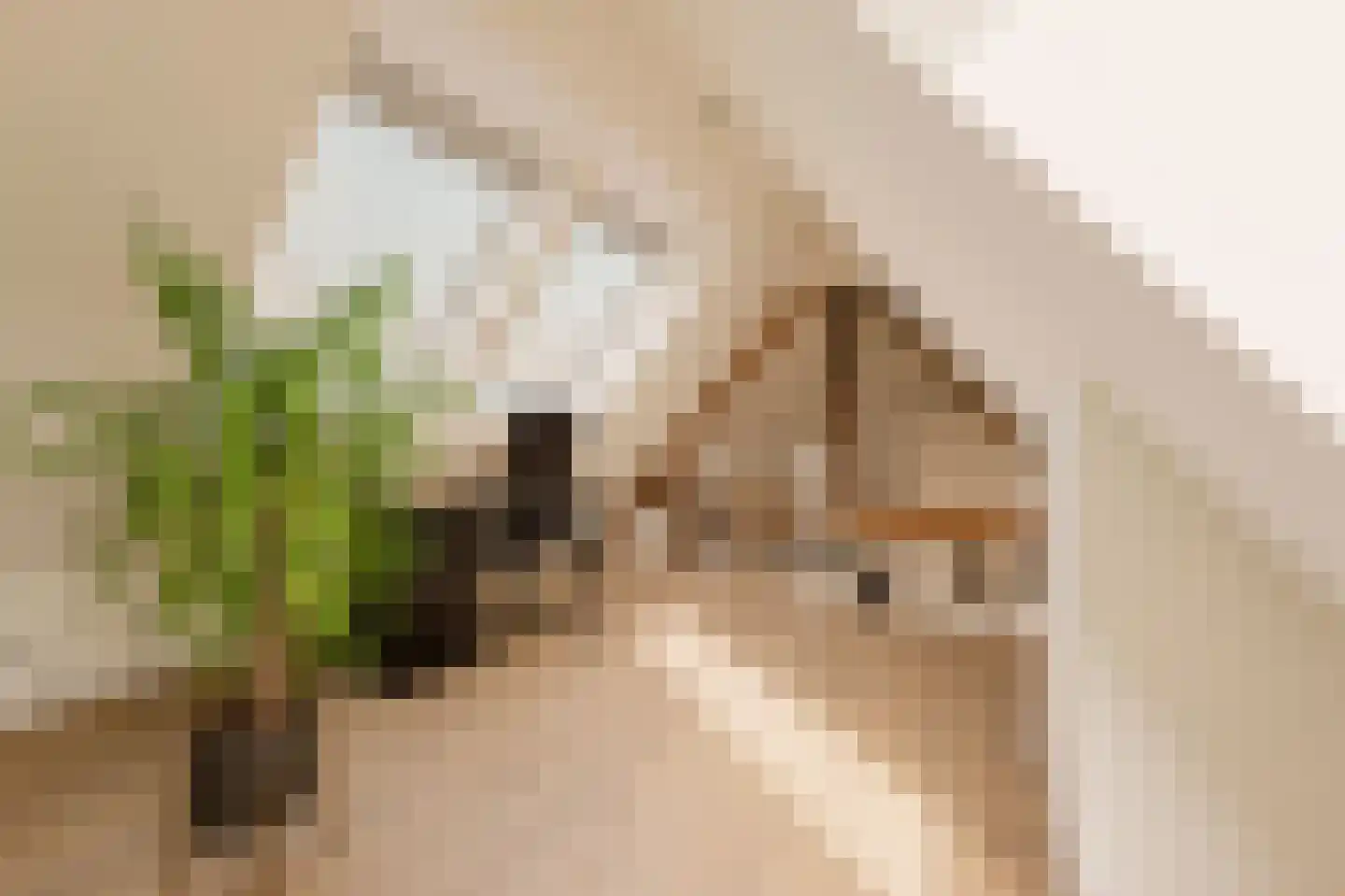 Tugelaweg 19 E Amsterdam thumbnail 14