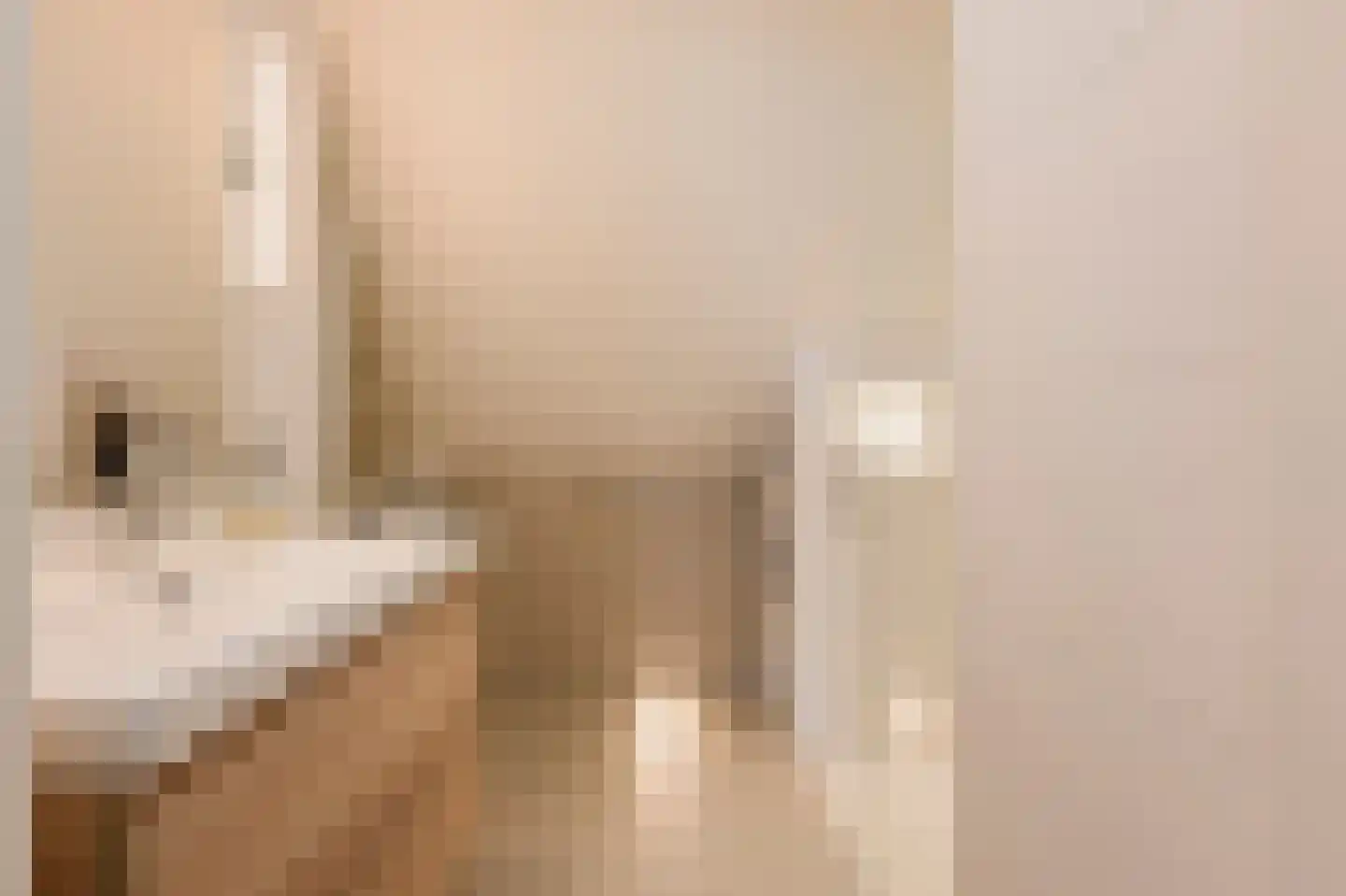 Tugelaweg 19 E Amsterdam thumbnail 18