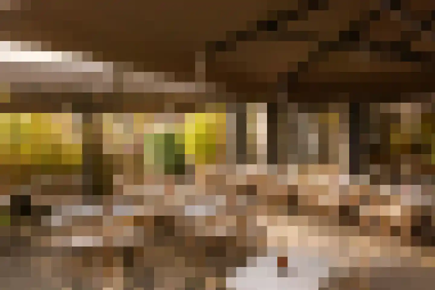 Tugelaweg 19 E Amsterdam thumbnail 22