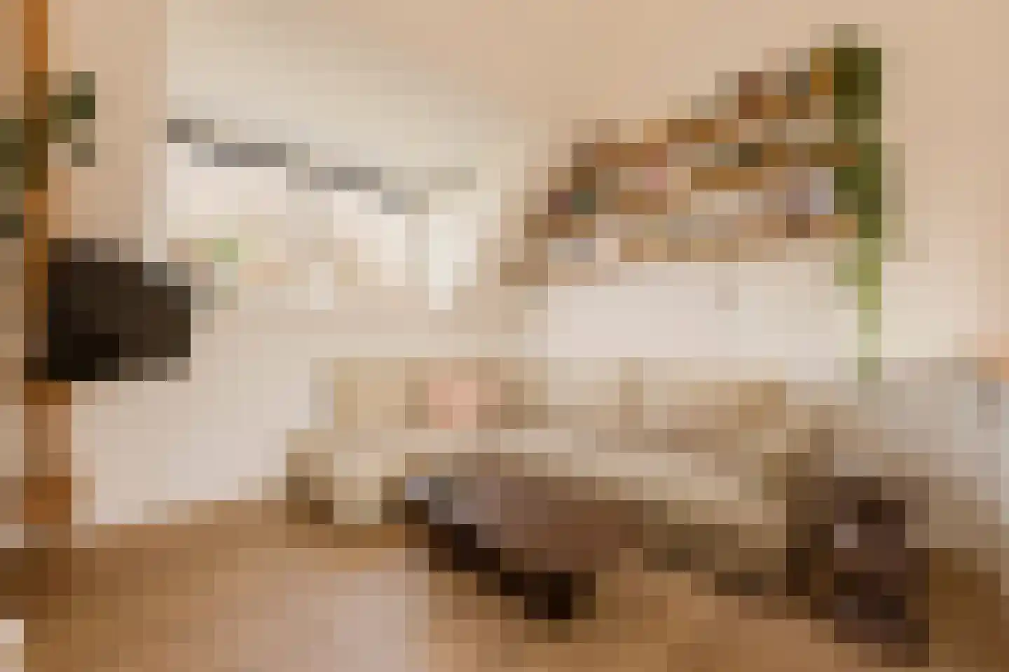 Tugelaweg 19 E Amsterdam thumbnail 4