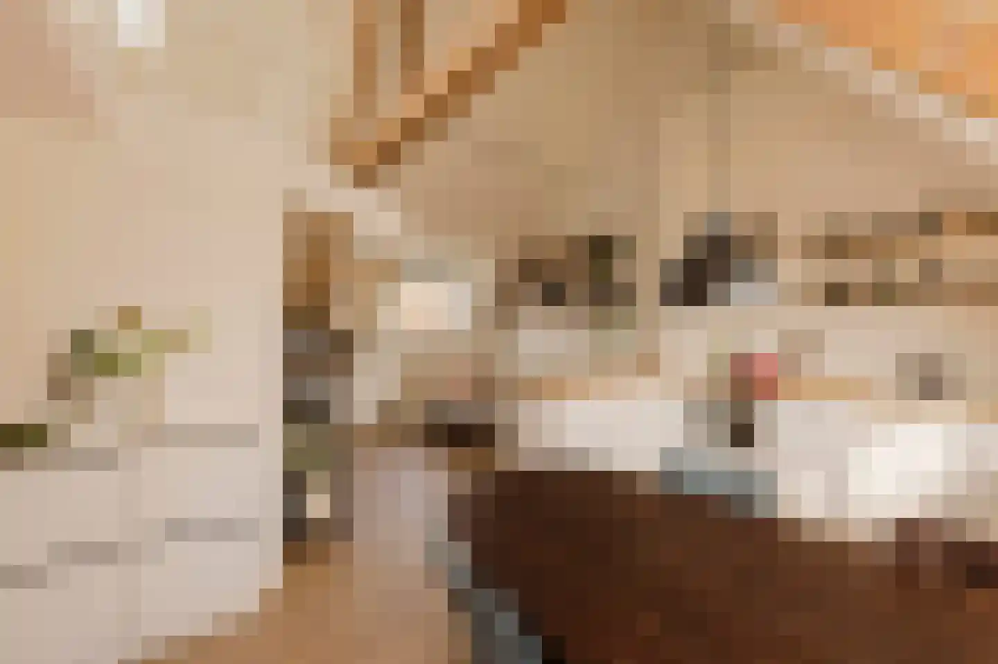 Tugelaweg 19 E Amsterdam thumbnail 6