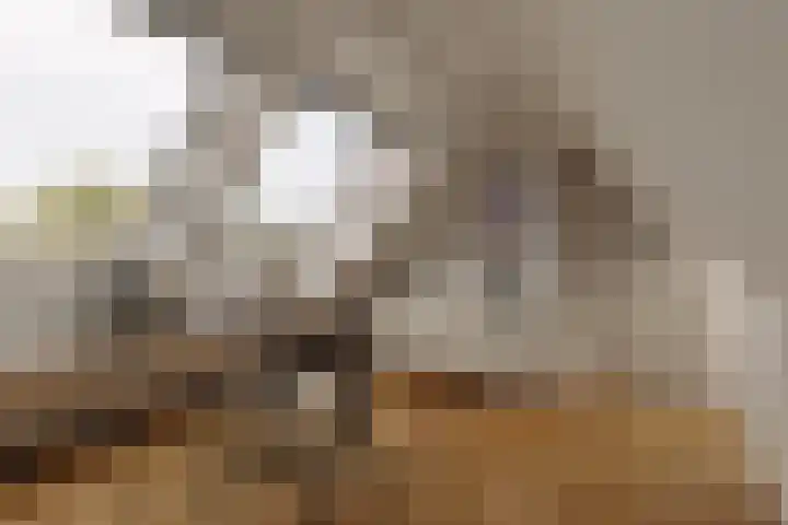 Tugelaweg 20 E Amsterdam thumbnail 11