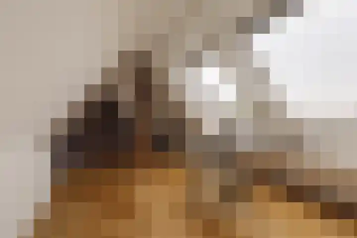 Tugelaweg 20 E Amsterdam thumbnail 12