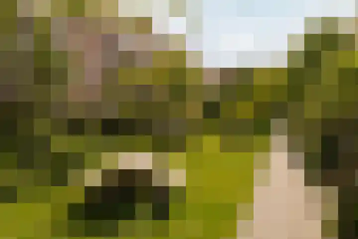 Tugelaweg 20 E Amsterdam thumbnail 20