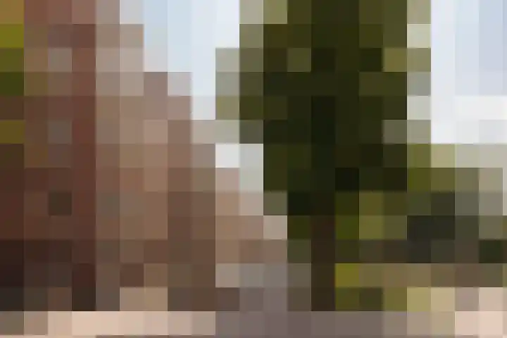 Tugelaweg 20 E Amsterdam thumbnail 21