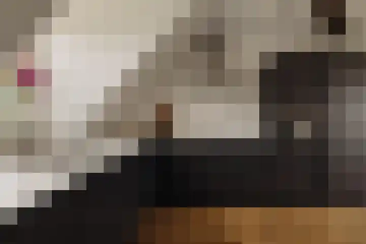 Tugelaweg 20 E Amsterdam thumbnail 7