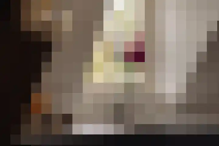 Tugelaweg 20 E Amsterdam thumbnail 8