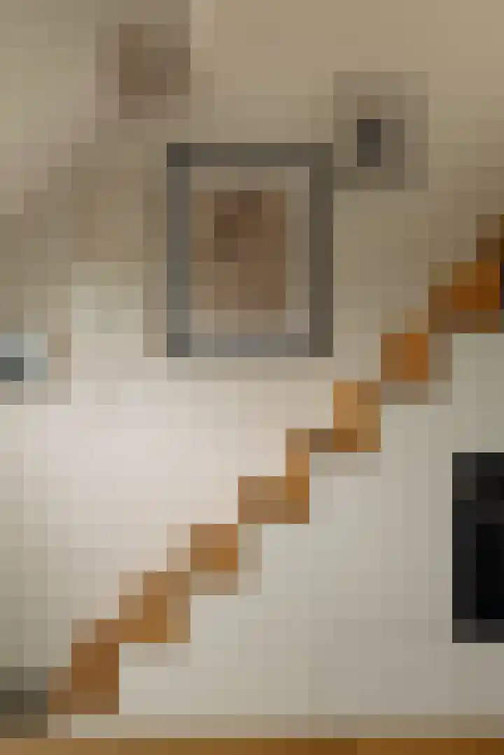 Tugelaweg 22 E Amsterdam thumbnail 10