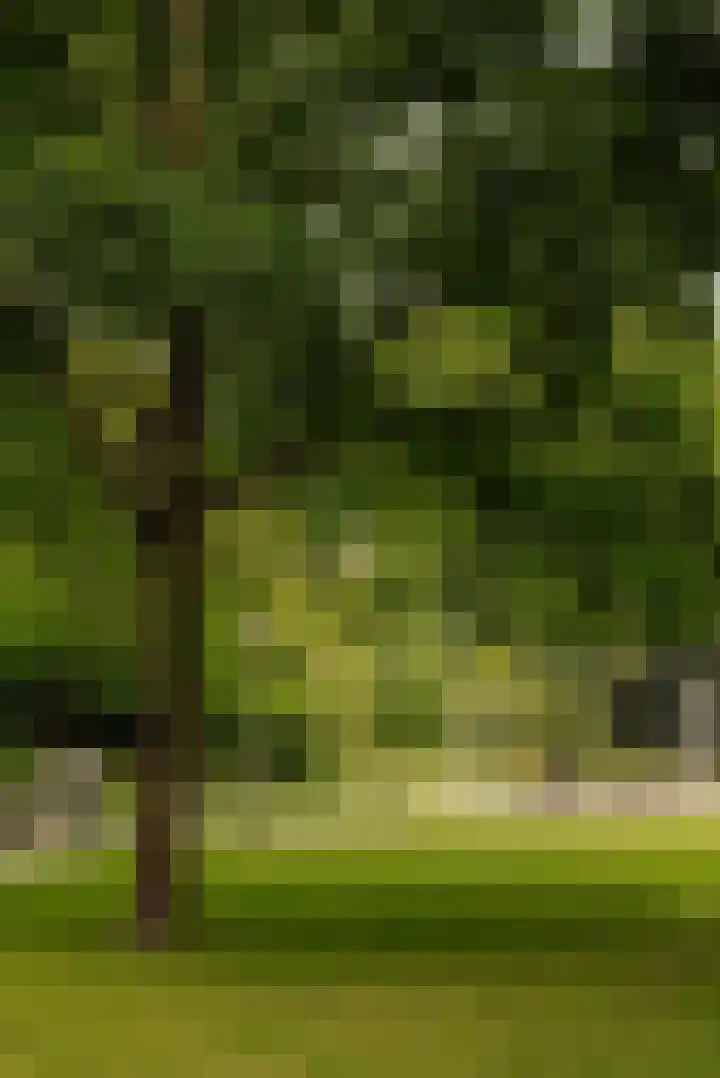 Tugelaweg 22 E Amsterdam thumbnail 20