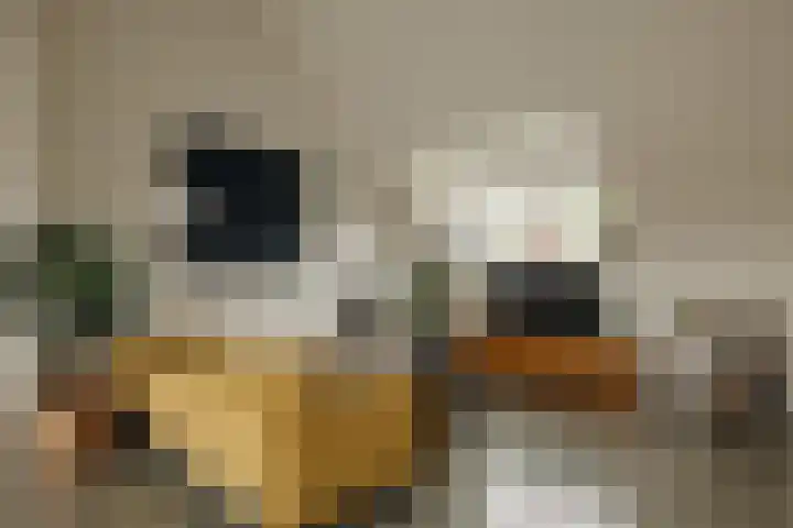 Tugelaweg 22 E Amsterdam thumbnail 6