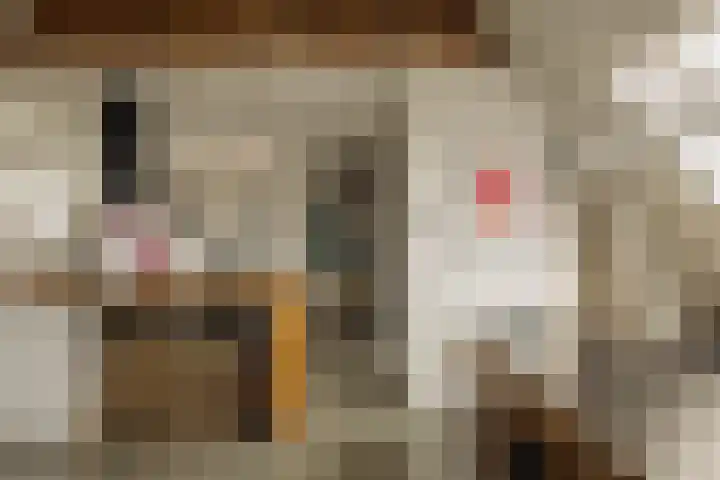 Tugelaweg 22 E Amsterdam thumbnail 7