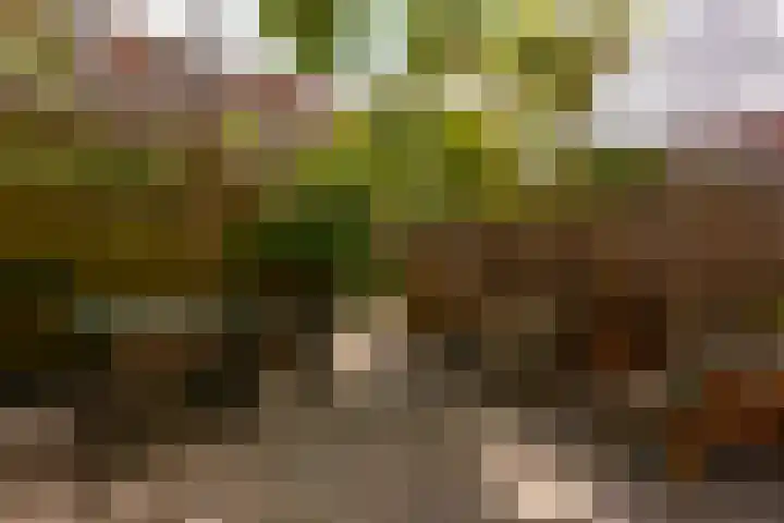 Tugelaweg 24 A Amsterdam thumbnail 10