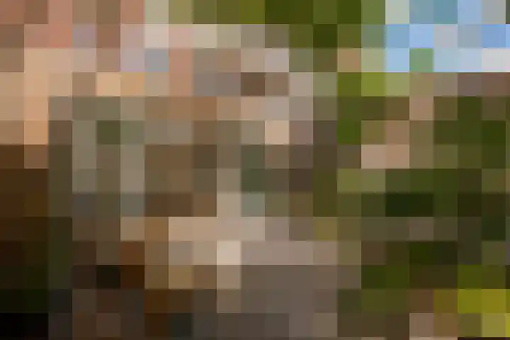 Tugelaweg 24 A Amsterdam thumbnail 11