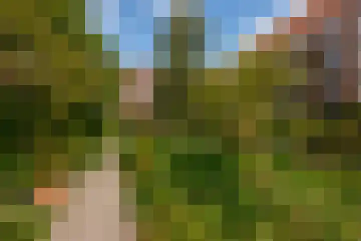 Tugelaweg 24 A Amsterdam thumbnail 13