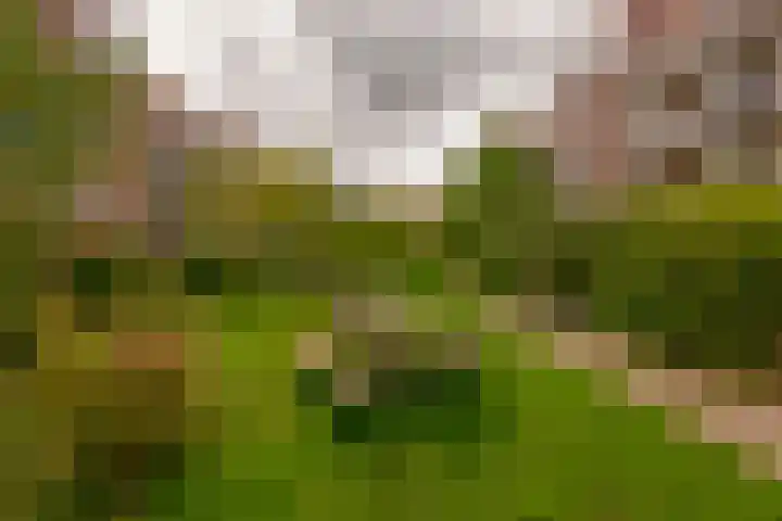Tugelaweg 24 A Amsterdam thumbnail 15
