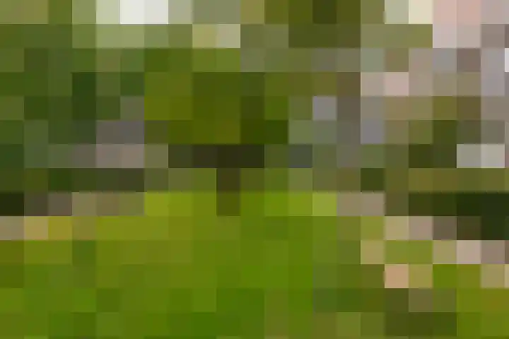 Tugelaweg 24 A Amsterdam thumbnail 16