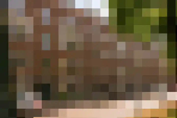 Tugelaweg 24 A Amsterdam thumbnail 36