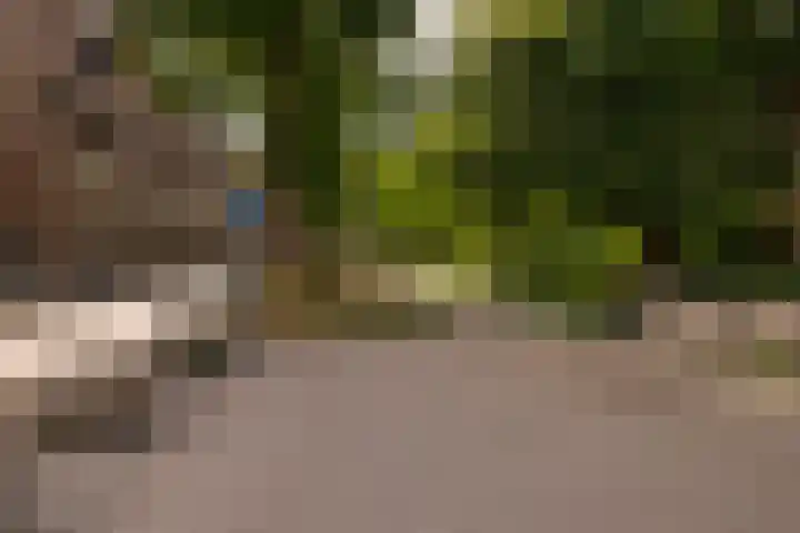 Tugelaweg 24 A Amsterdam thumbnail 38