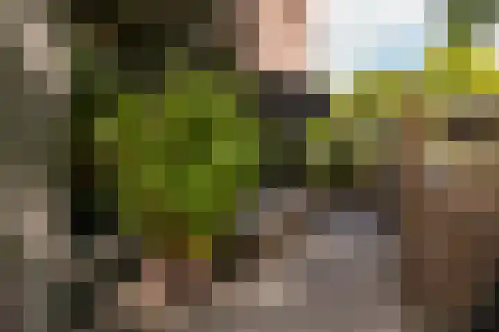 Tugelaweg 24 A Amsterdam thumbnail 39