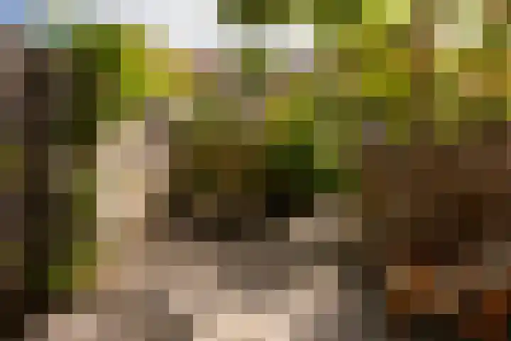 Tugelaweg 24 A Amsterdam thumbnail 8