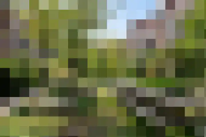 Tugelaweg 24 D Amsterdam thumbnail 25